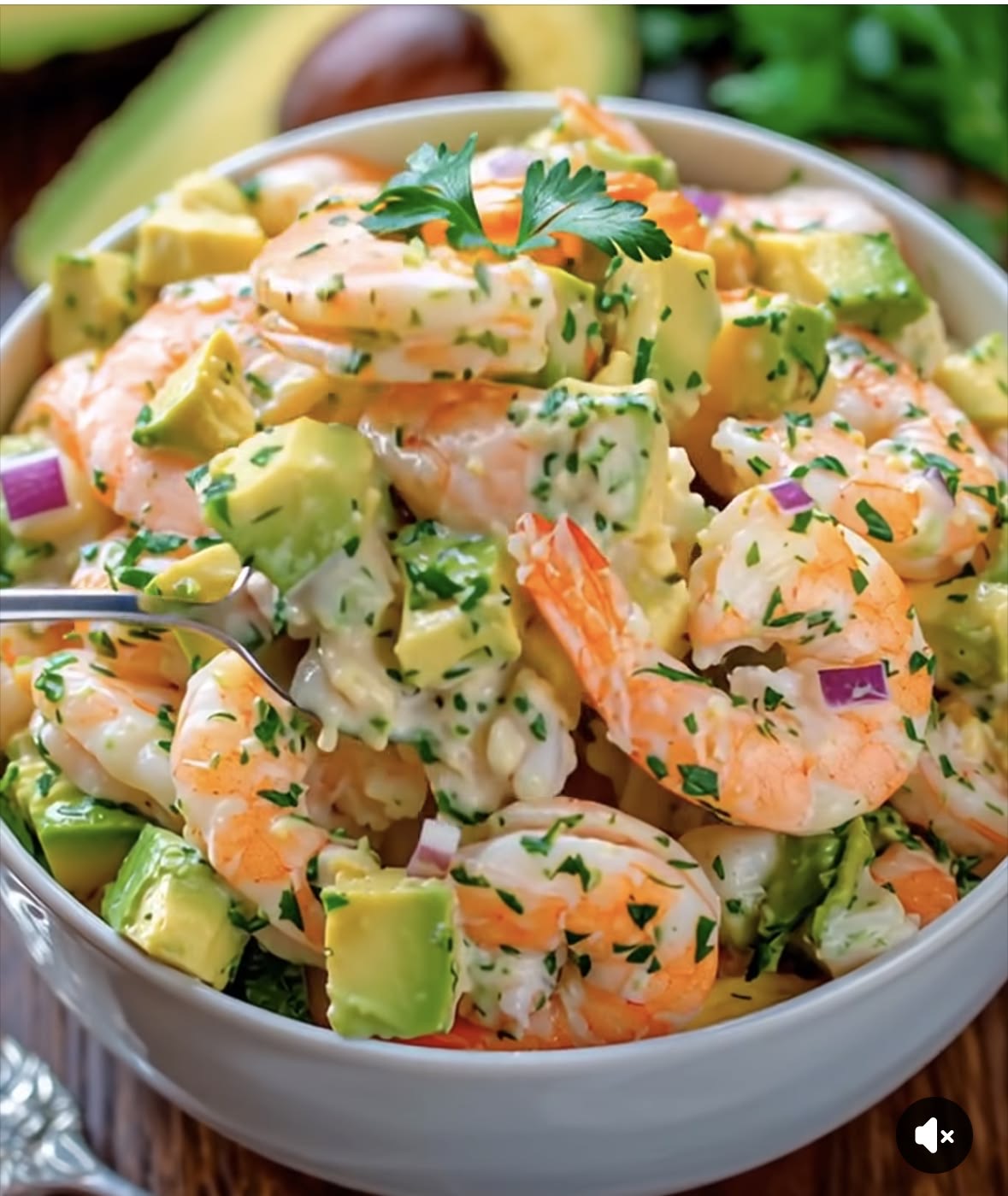 Cocktail d'avocats aux crevettes